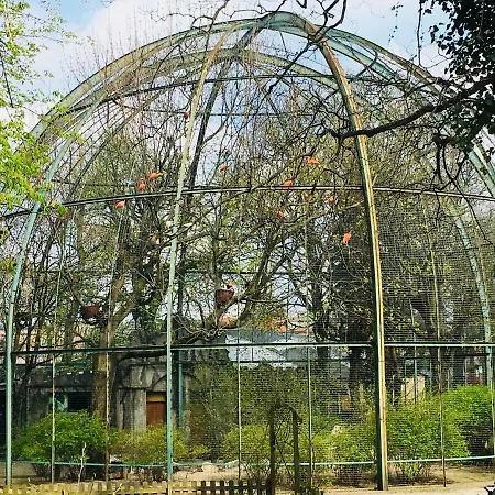 Piper Zajezdnia Blue