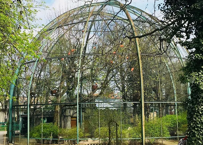 Piper Zajezdnia Blue