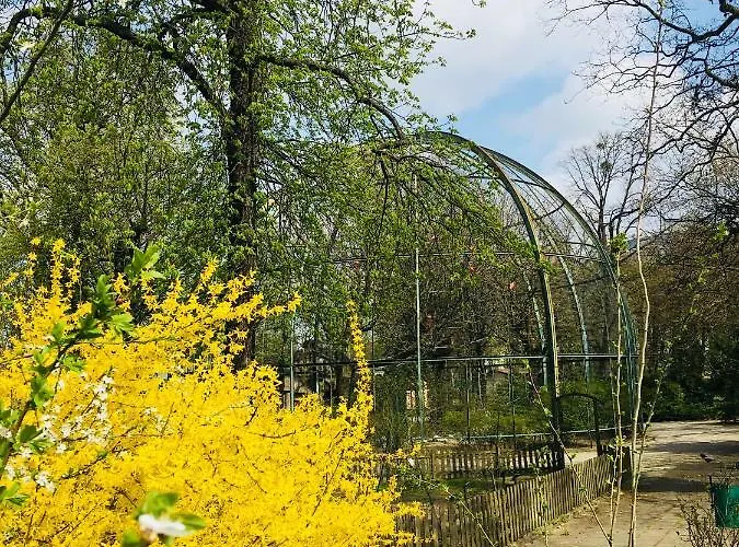 Piper Zajezdnia Blue